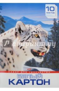 Картон белый, 10 листов, А3 "Снежный барс" (10Кб3_11345)