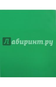 Папка-скоросшиватель с пружиной, пластиковая, LINE, зеленая (AH4_03007)
