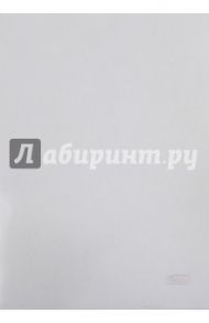 Папка-уголок, пластиковая, А4, прозрачная (AG4_00100)