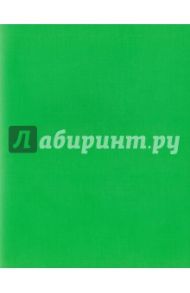 Тетрадь для записи "Зеленая" (96 листов, А5, клетка, полимерная обложка) (96Т5пмB1)