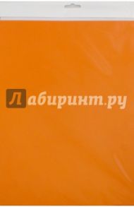 Бумага цветная тонированная двусторонняя, 10 листов, оранжевая (С3036-09)