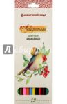 Карандаши цветные, акварельные "Птицы Сибири", 12 цветов (СК083/12)