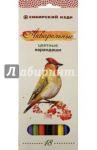 Карандаши цветные, акварельные "Птицы Сибири", 18 цветов (СК083/18)