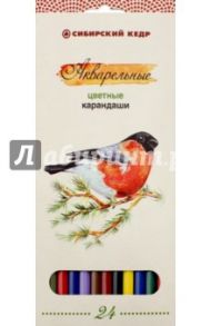 Карандаши цветные, акварельные "Птицы Сибири", 24 цвета (СК083/24)