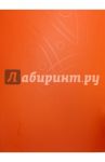 Папка  "Galaxy" (40 прозрачных вкладышей, A4, оранжевая) (GA40OR)