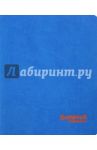 Дневник школьный "Синий" (искусственная кожа) (44623)