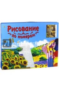 Холст для рисования по номерам "Грозный леопард" (40х50 см, с красками) (Q496)