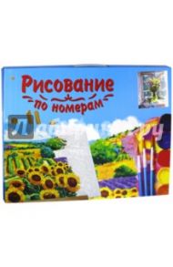 Холст для рисования по номерам "Букет у окна" (с красками, 40х50 см) (Q1043)
