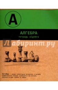 Тетрадь предметная "АЛГЕБРА, ДВА ЦВЕТА" (44345)