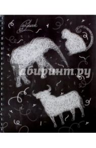 Тетрадь 48 листов, клетка, гребень "Зарисовки", 5 видов (ТСФ965227)
