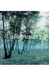 Тетрадь 80 листов, гребень "ПРИРОДА", 4 вида (7-80-956)