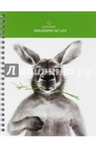Тетрадь общая "Kangaroo" (80 листов, спираль, клетка, А5) (N970)