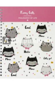 Тетрадь общая "Funny Cats" (96 листов, спираль, клетка, А5) (N977)