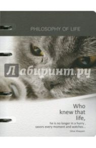 Тетрадь "Cats&dogs" (120 листов, кольцевой механизм, клетка, А5) (N656)