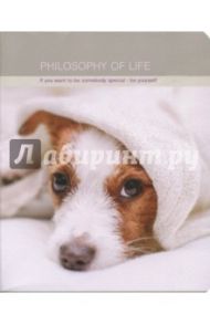 Тетрадь Cats&dogs" (48 листов, скрепка, клетка, А5) (N846)
