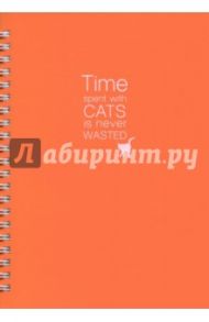 Тетрадь "Cats" (пластиковая обложка, 96 листов, спираль) (N547/orange)