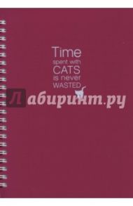 Тетрадь "Cats" (пластиковая обложка, 96 листов, спираль) (N547/violet)