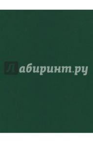 Тетрадь общая "Бумвинил. Зеленый" (96 листов, А4, клетка) (96Т4бвC3)