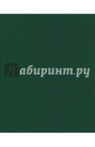 Тетрадь общая "Бумвинил. Зеленый" (48 листов, А5, клетка) (48Т5бвB1)