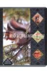 Тетрадь 48 листов "Животные Родного Края" (48Т5В1)