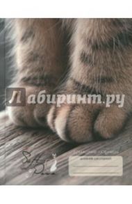 Дневник школьный "Домашние любимцы. Дизайн 7" (48 листов, твердая обложка) (ДДЛ174807)