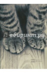Тетрадь общая на кольцах "Пушистые лапки" (100 листов) (ПБ1004374)