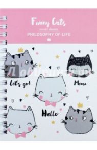 Блокнот 80 листов, А6, спираль, Be Smart.Funny cats. (N1010)