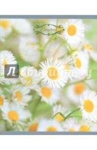 Тетрадь 48 листов, линия, Дыхание лета, 5 видов (ТЛ485299)