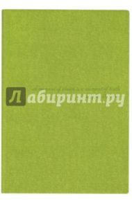 Ежедневник недатированный, 160 листов, А5, "ДЖИНС САЛАТОВЫЙ", (45107)