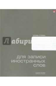 Тетрадь для записи иностранных слов "Platinum" (48 листов, А5+) (7-48-417)