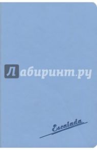 Записная книжка, 80 листов, 98х145, "СОФТ-ТАЧ ГОЛУБОЙ", мягкий (45348)
