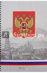 Тетрадь общая для конспектов "Государственная символика" (96 листов, А4, клетка) (ТСФ4964227)