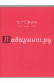 Тетрадь "Магия цвета. Кораллово-красный" (48 листов, клетка, А4) (Т4484374)