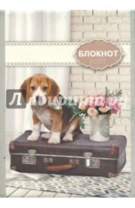 Блокнот "Щенок" (32 листа, А6) (С0100-233)