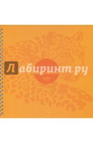 Тетрадь-скетчбук SketchBook 60 листов, А4, нелинованная "Иллюзии" (60Тт4Aгр_17233)