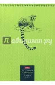 Блокнот SketchBook 60 листов, А5, нелинованный "Лемур" (60Б5Aпс_17226)