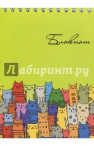 Блокнот "Цветные коты" (80 листов, А6, гребень) (45877)