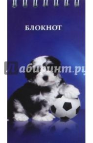 Блокнот 60 листов, А7, гребень, Щенок с мячом (С4175-29)