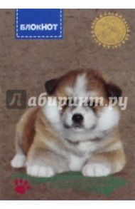 Блокнот 16 листов, А7, Пушистый щенок (С1550-53)