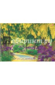Альбом для рисования 40 листов, гребень "Чудесный парк" (АСБ401395)