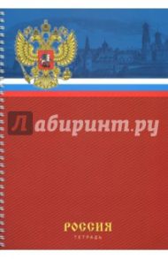 Тетрадь для конспектов 80 листов, А4, спираль "Государственная символика" (ТС4804297)