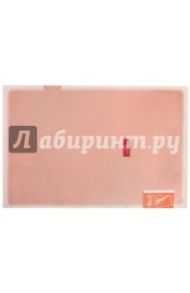 Папка-уголок "Coloree" (А4, розовый, 2 кармана) (FV-TDV750P)