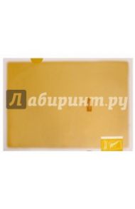 Папка-уголок "Coloree" (А4, оранжевый, 2 кармана) (FV-TDV750YR)