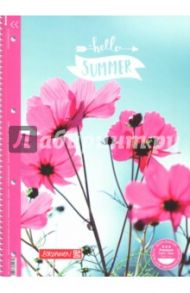 Тетрадь 80 листов, А4, гребень, Колледж Summertime, лин.