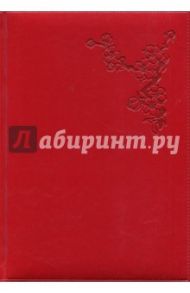 Ежедневник недатированный "Небраска" (А5, 160 листов, красный) (1722106259)