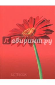 Книги для записей "Гербера" (64 листа, А6, клетка) (КЗ6642451)
