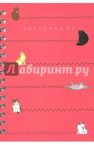 Скетчбук "Чудесные котики" (100 листов, А5, евроспираль) (ТС51004595)