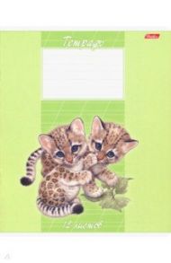 Тетрадь 12 листов, косая линия (12Т5В6_13389)