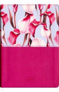 Ежедневник датированный на 2019 год "Joy" (AZ645emb/pink)