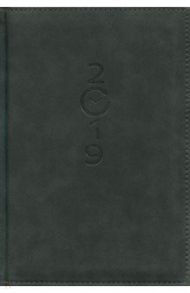Ежедневник датированный на 2019 год (А5, 176 листов, черный) (47409)